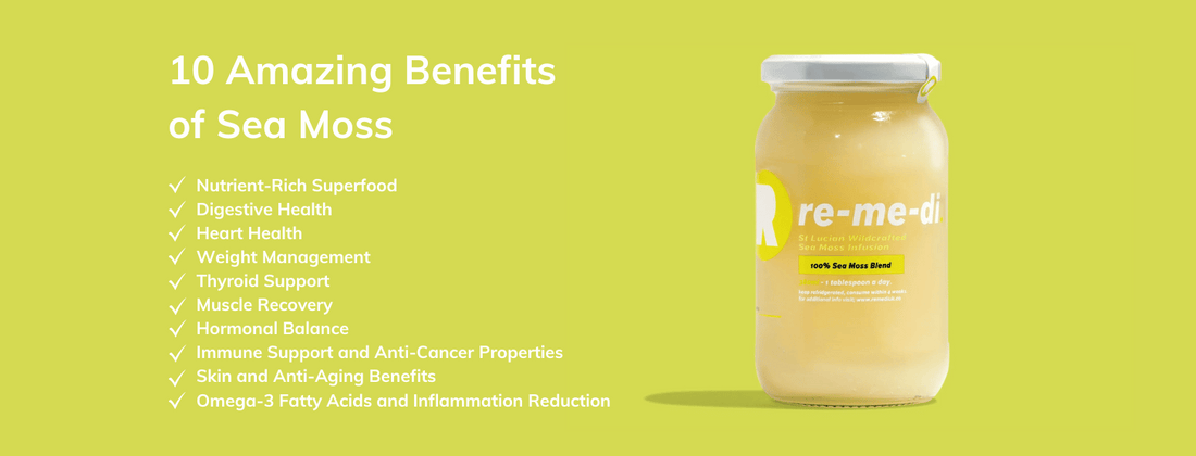 10 Amazing Benefits of Sea Moss