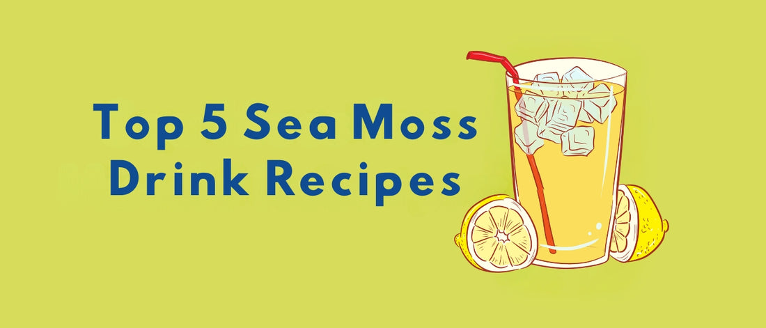 Top 5 Sea Moss Drink Recipes to Boost Your Wellness Routine
