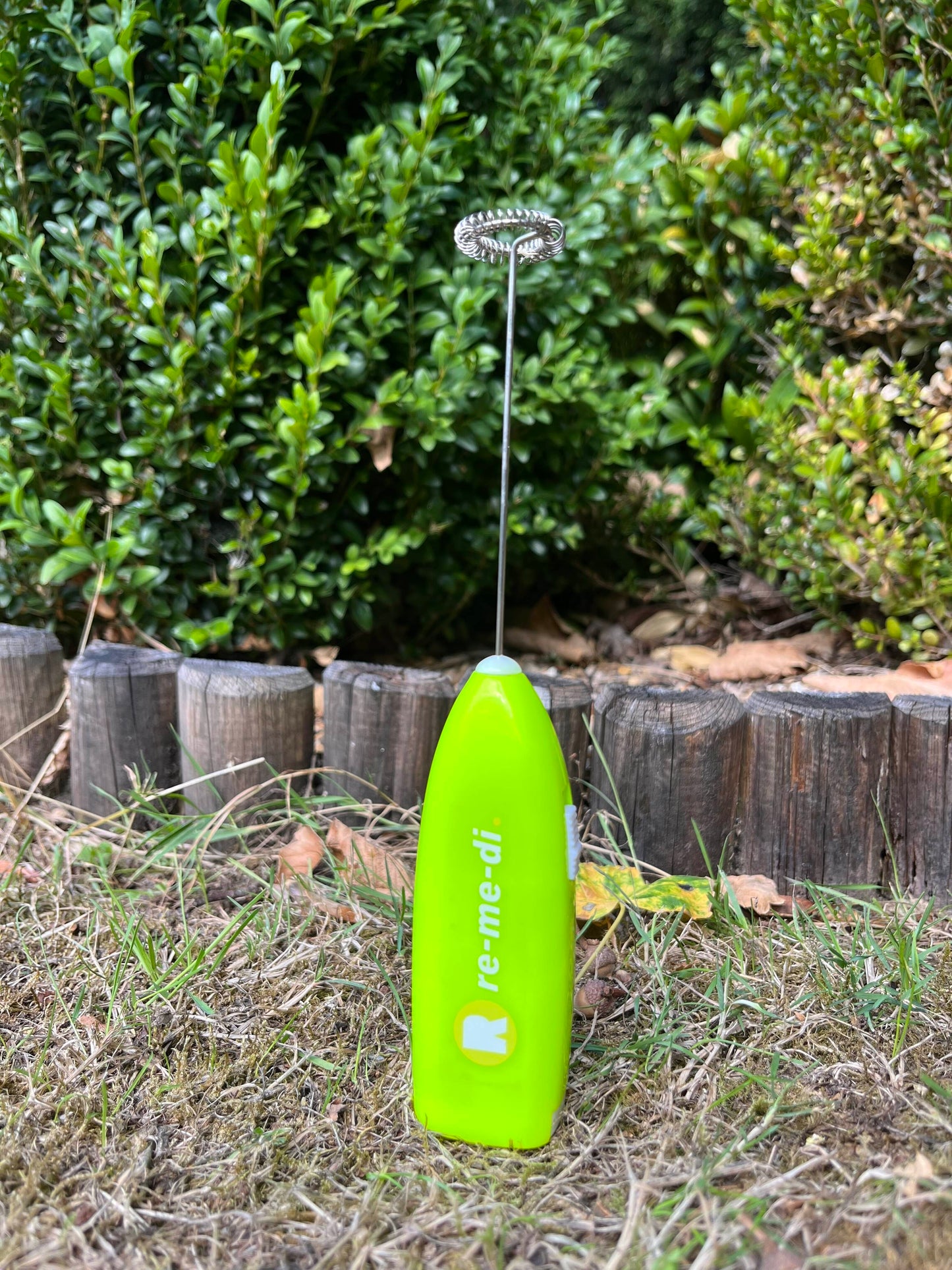 handheld rechargeable frother