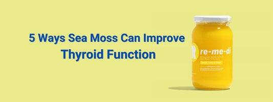 5 Ways Sea Moss Can Improve Thyroid Function