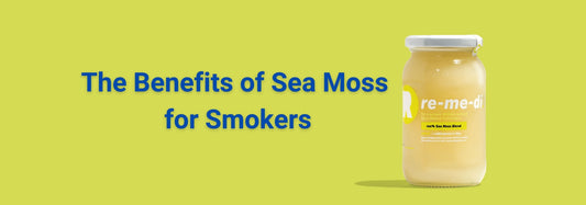 The Benefits of Sea Moss for Smokers