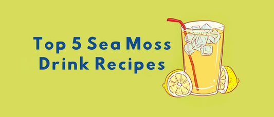 Top 5 Sea Moss Drink Recipes to Boost Your Wellness Routine