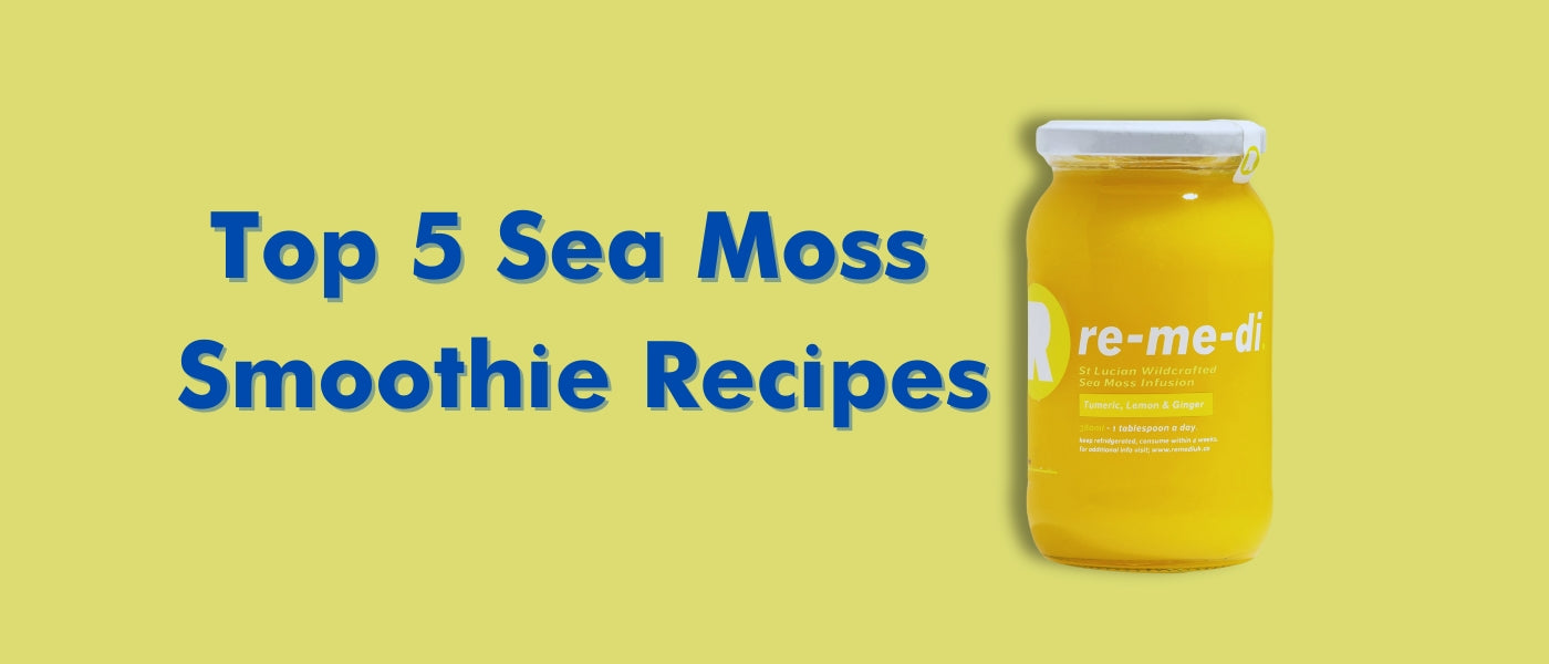 Top 5 Sea Moss Smoothie Recipes to Try – Re-me-di.